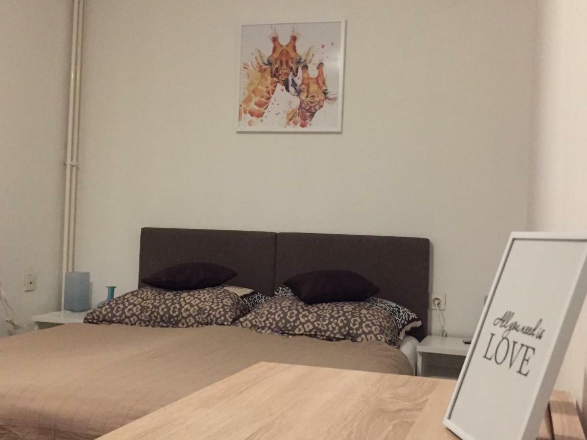 Apartment קארלובץ מראה חיצוני תמונה